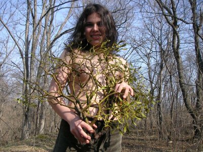 Невероятные моменты с обнаженными красавицами в уютной обстановке