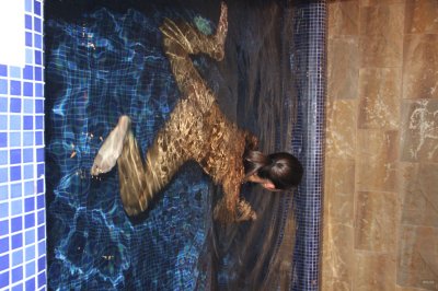 Сексуальная шатенка в плавательном бассейне - горячее шоу!