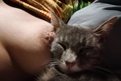 Пизды и груди: развратные сучки ждут тебя!