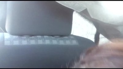 Погрузимся в мир удовольствия: сейчас я буду нежно ласкать твои яйца и доставлять тебе максимум удовольствия