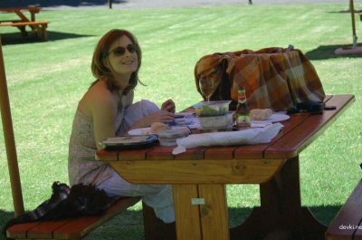 Развратная вечеринка для всей семьи: искусственный дождь