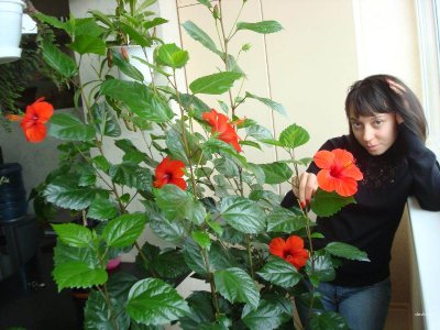 Интимные снимки скромной красотки, поделись своими фантазиями!