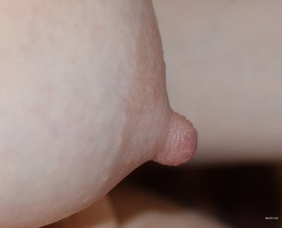 Бомбическая грудь: у нас лучшие видео для взрослых 18+!