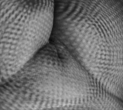 Шикарная монохромная сексуальность