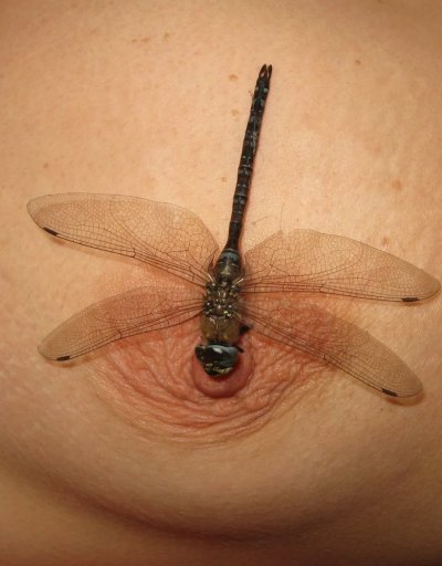 Моя экс-партнерша - горячий матч для взрослых