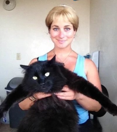 Сексуальная дамочка с прекрасной грудью