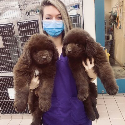 Девушка с увлечением камерой представляет обнаженные формы