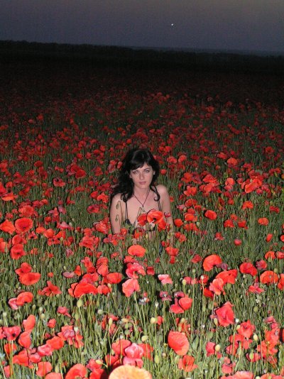 Сексуальная красотка в бикини позирует на песчаном берегу