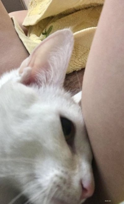 Развратная супруга и влажная писечка