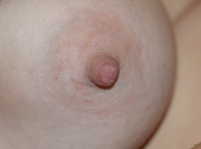 Бомбическая грудь: у нас лучшие видео для взрослых 18+!