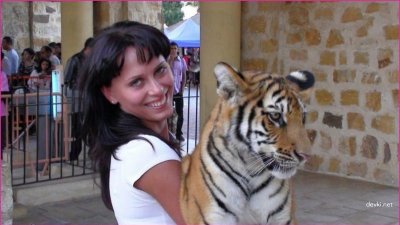 Сладкая девочка обрабатывает член