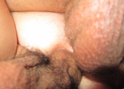 Семейный порно-архив: лучшие видео для взрослых на любой вкус!