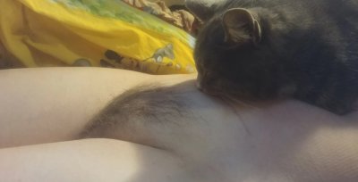 Пизды и груди: развратные сучки ждут тебя!