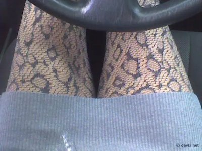 Согласование и пыл: искусство эротического обольщения